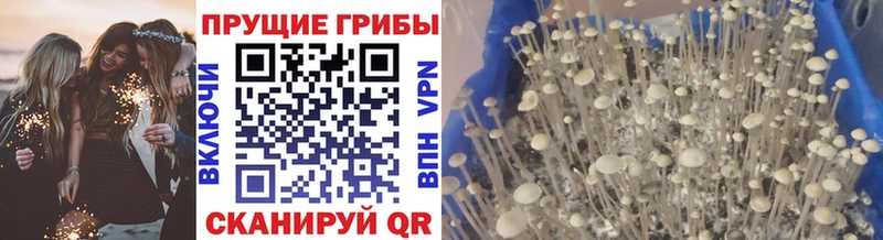 Галлюциногенные грибы ЛСД  Новомичуринск 