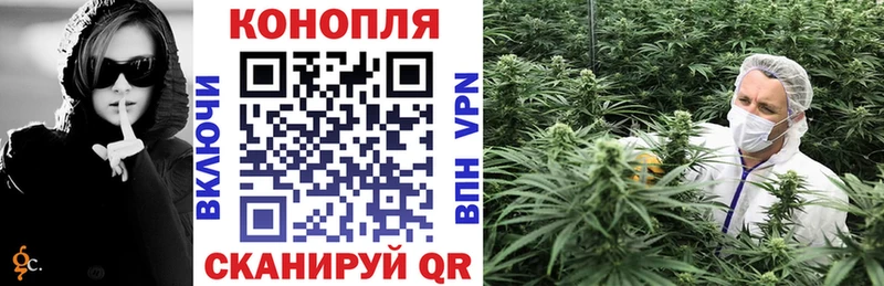 Канабис сатива  цена наркотик  Новомичуринск 
